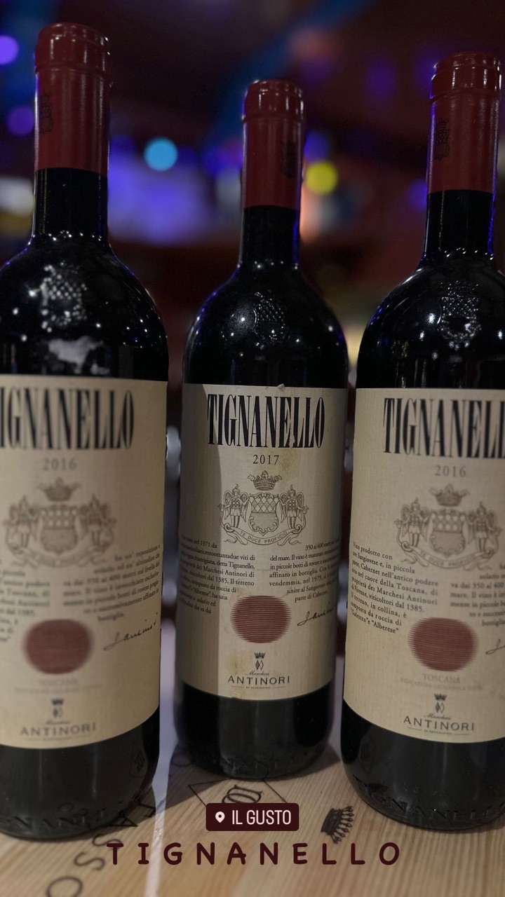 Bottiglie di Tignanello della cantina